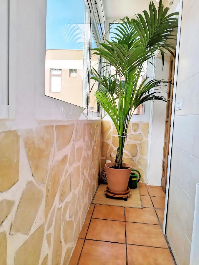 Apartamento Vida Mediterranea Leilighet Puerto de la Cruz  Eksteriør bilde